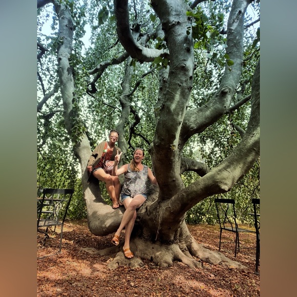 Meet your Posher, Amy - Picture 3 of 16